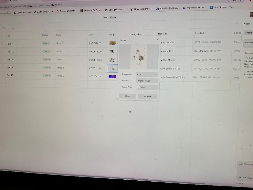 Visually searched image