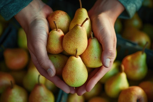 Solution Section Image