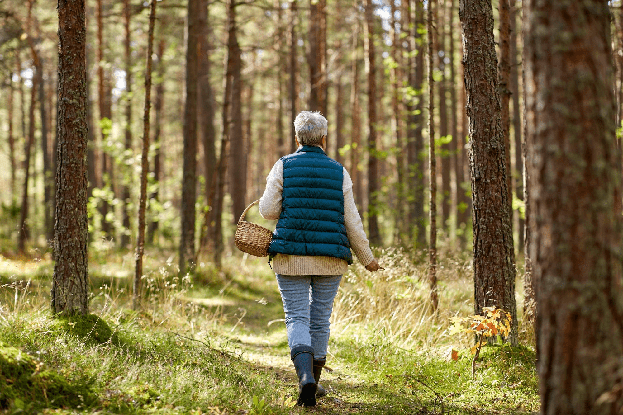 Older adult woman walking in the forest holding a basket