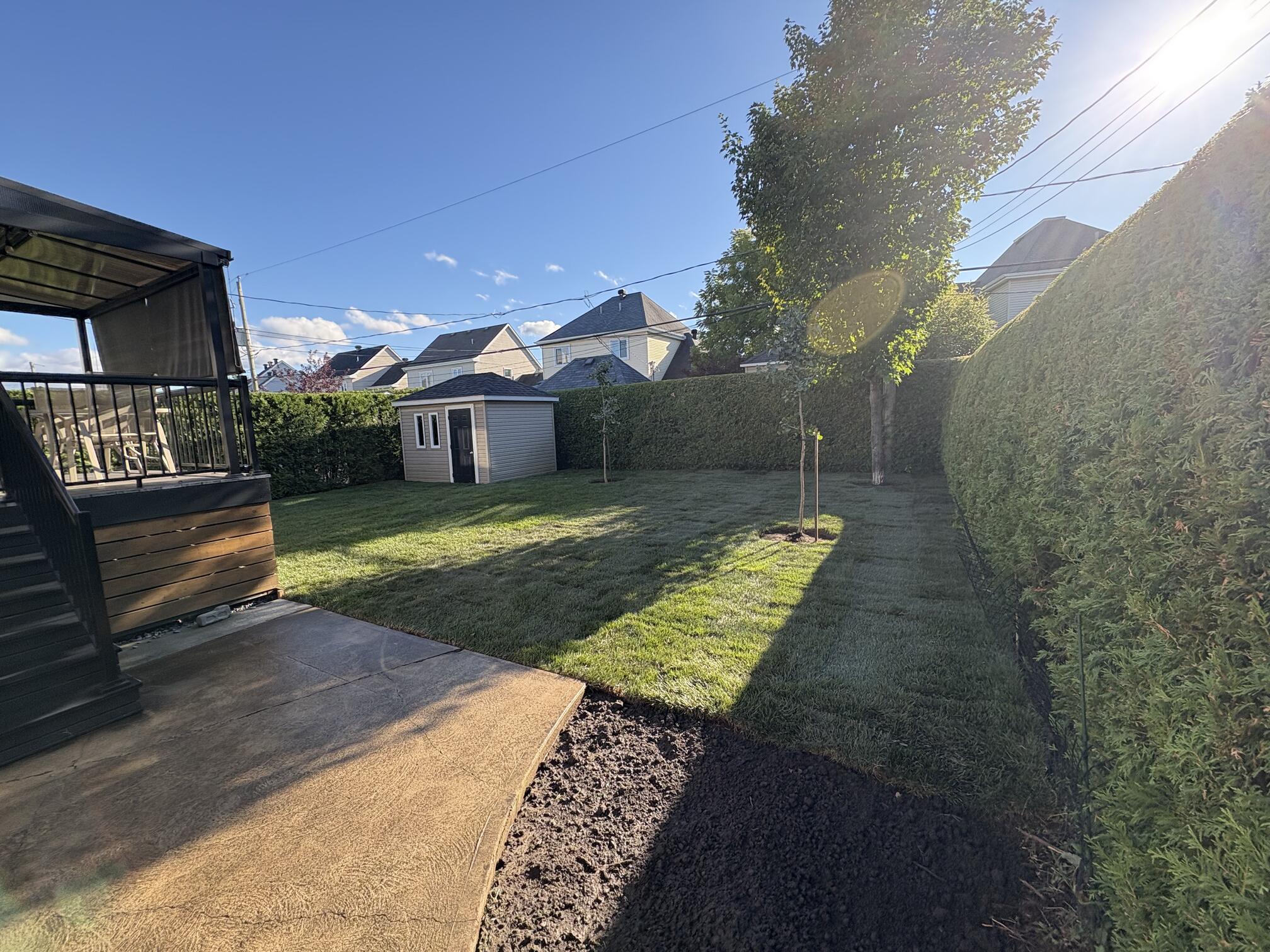 Cour arrière bien entretenue avec haie taillée, allée en béton et gazon fraîchement tondu.