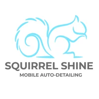 logo squirrelshine website developed & designed by Dreams Agency Mississauga, Ontario