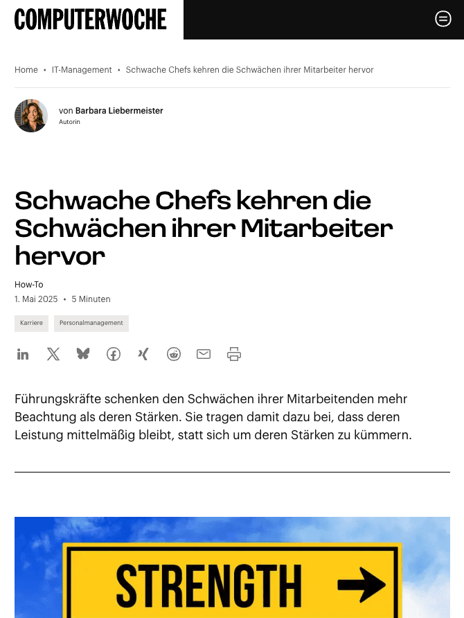 Titelbild des Onlineartikels von Barbara Liebermeister aus der Computerwoche