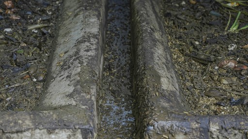 a close up of a pipe laying on the ground