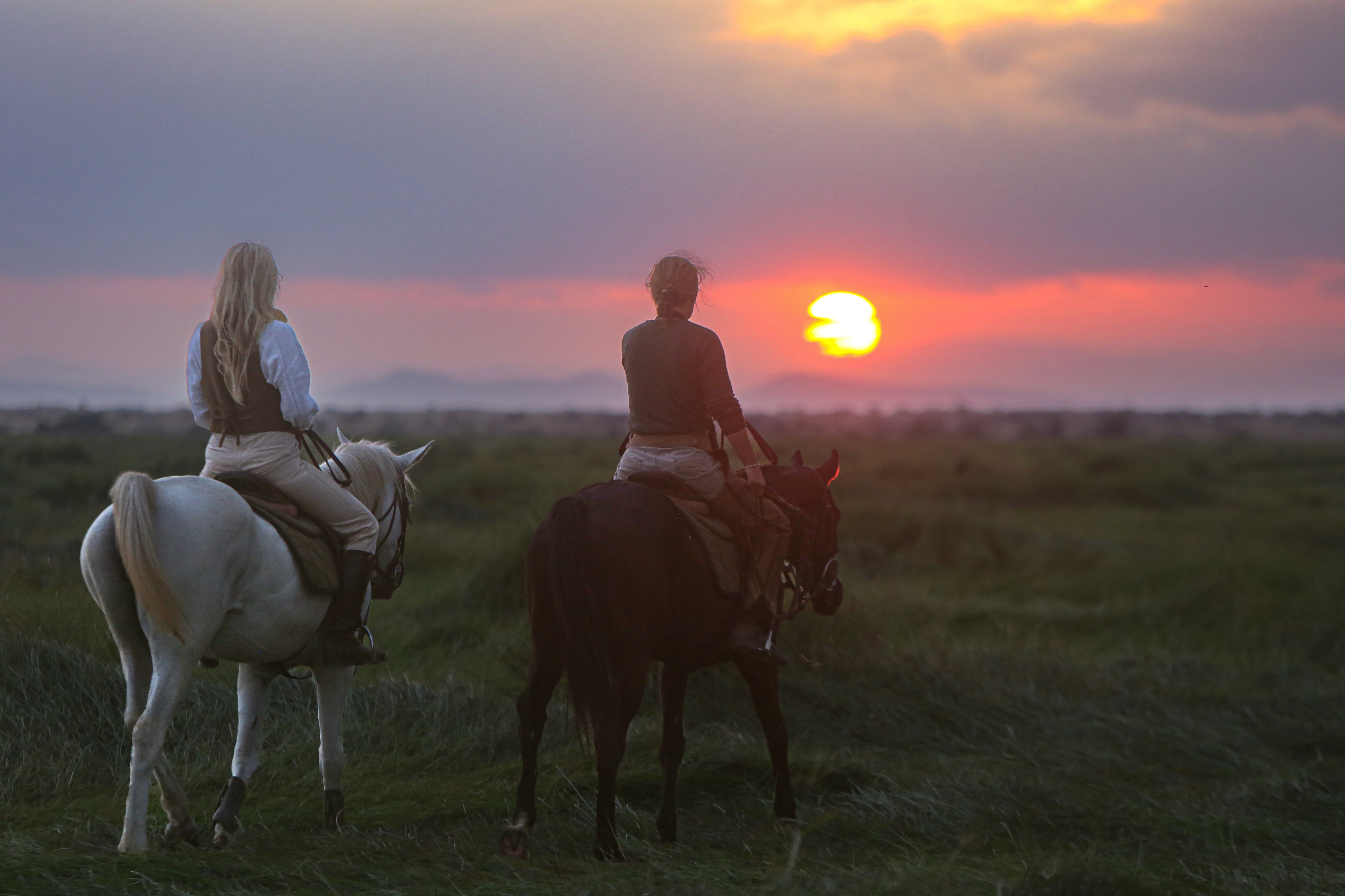 Kilimanjaro Elephant Ride, Arusha National Park, Tanzania. Två ryttare till häst på ridsafari skrittar i grönt landskap mot den vackra solnedgången.