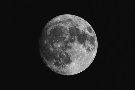 Fashion portrait photography