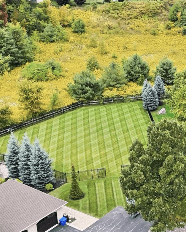 Pest, Weed, and Fertilization