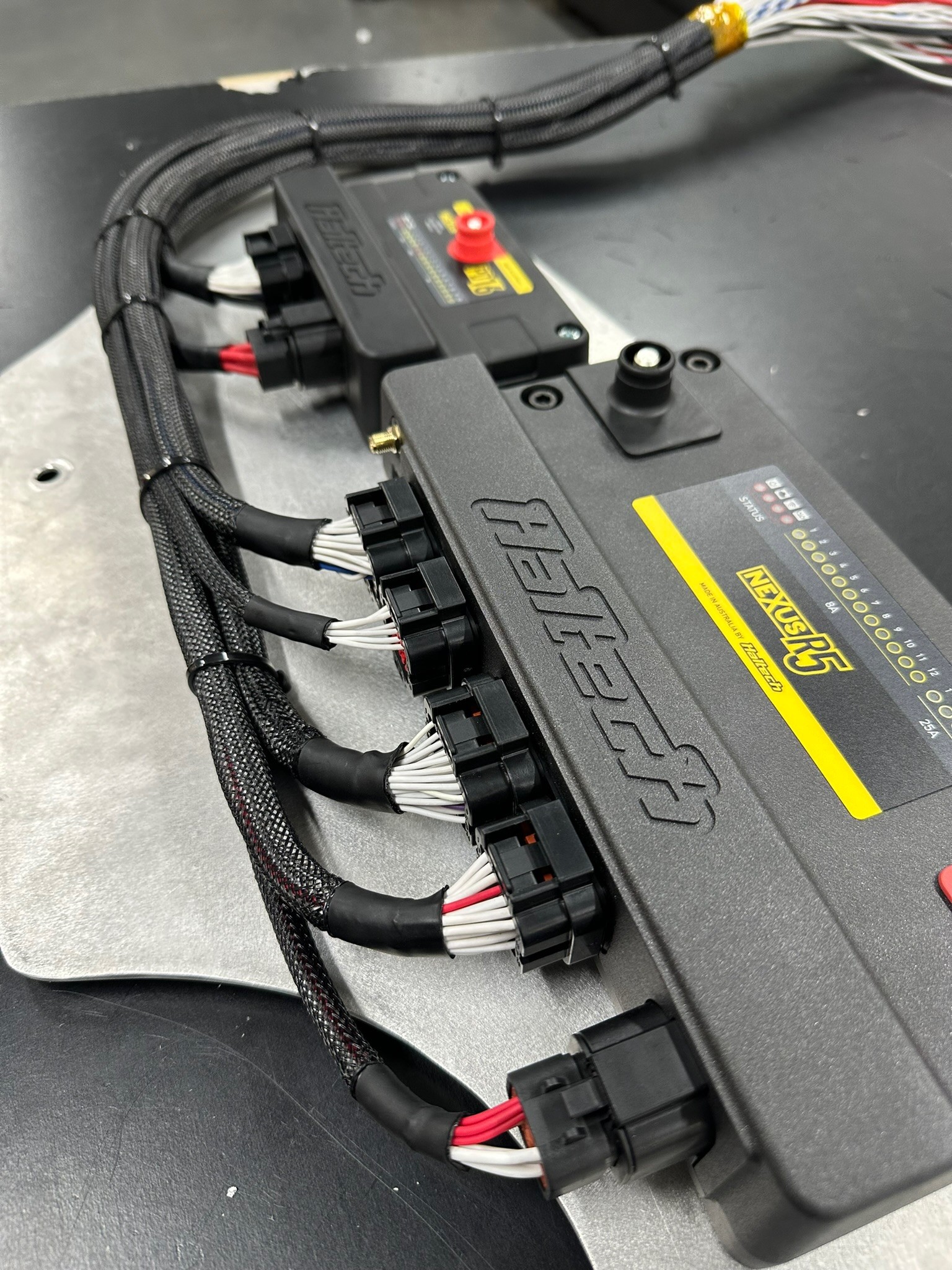 A premium Haltech standalone ECU neatly mounted inside a vehicle cabin alongside a custom-terminated, braided wiring harness, highlighting professional high-performance engine management installations.