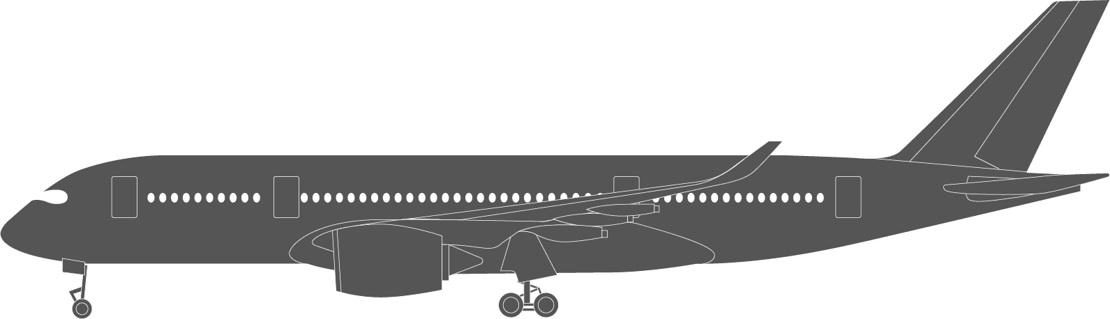 Airbus ACJ350 Icon