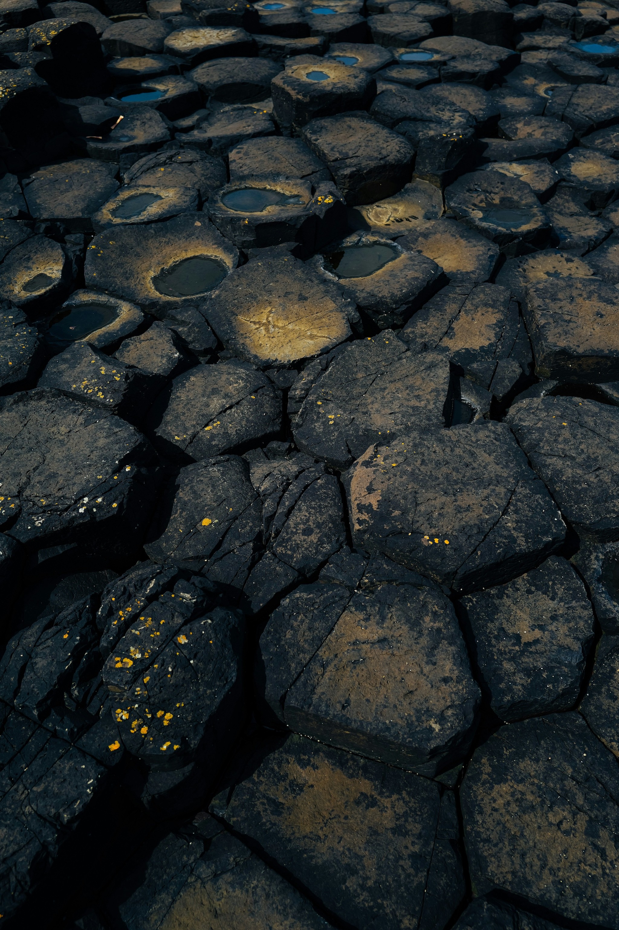 Hexagonal basalt columns with water pools