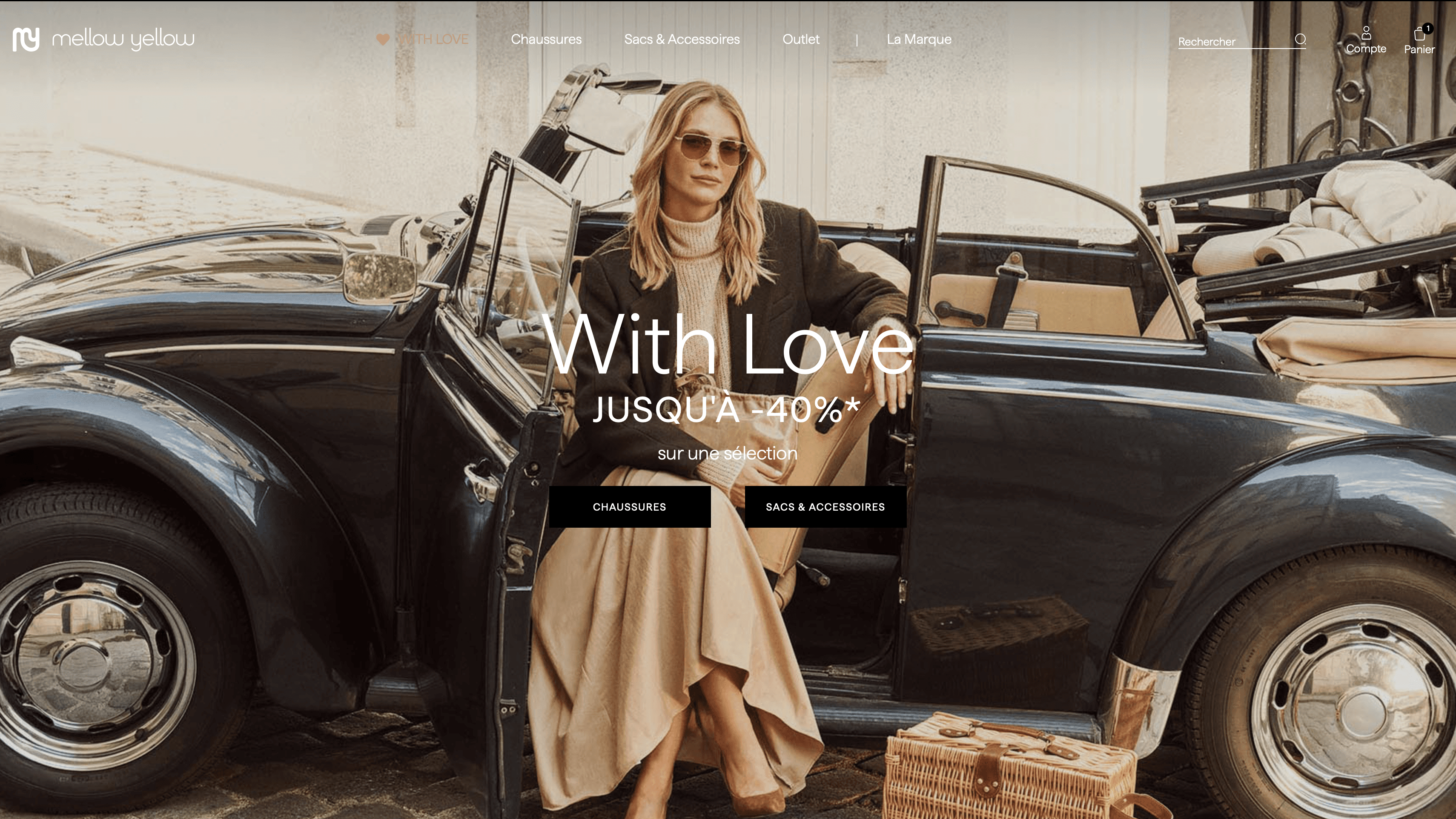 Website Design