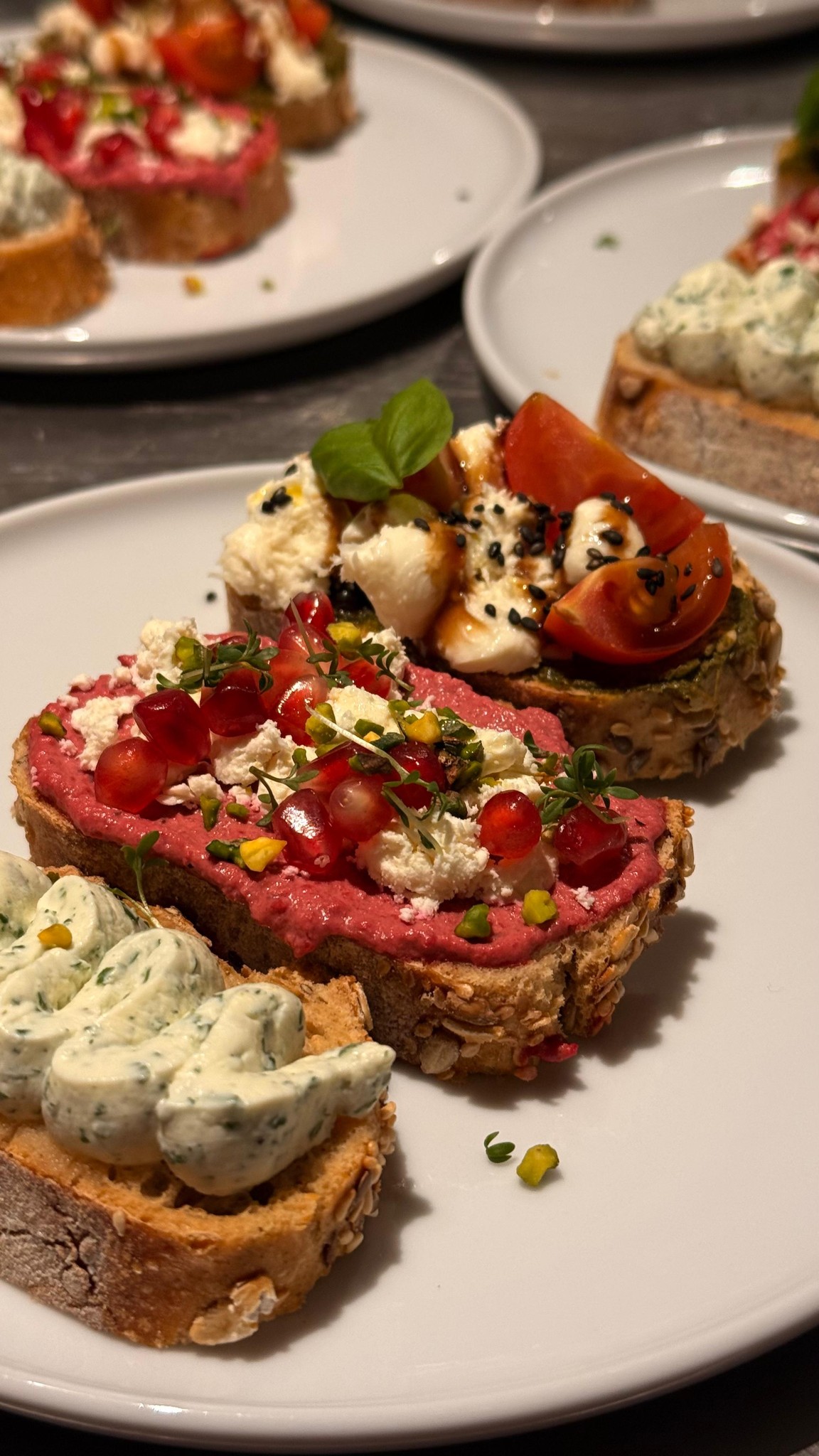 La Paloma environment