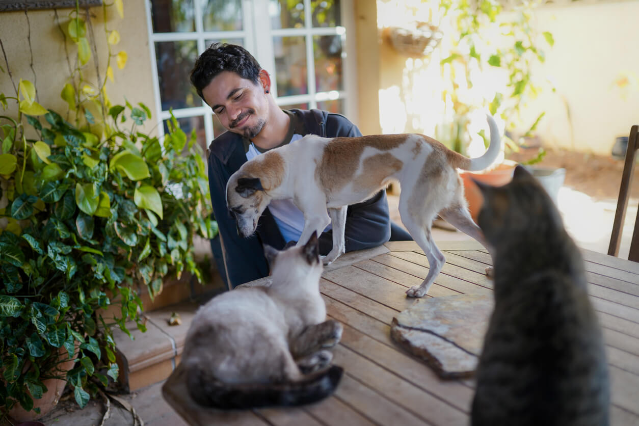 man with dog and cats in his backyard table