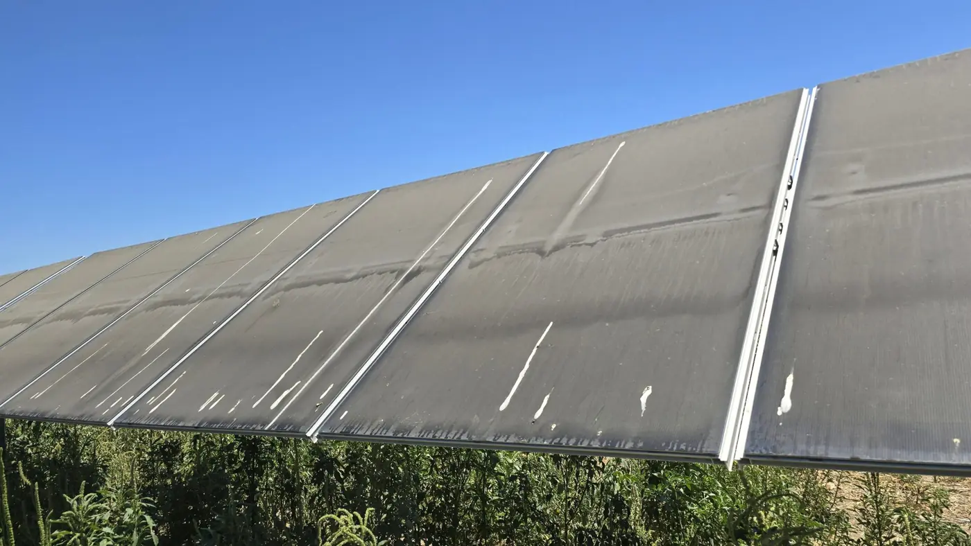 Solar panel row covered in dust before cleaning