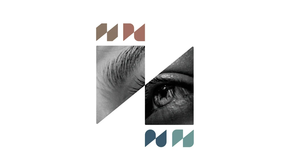 Close-up black and white eye split diagonally.