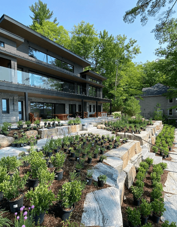 Beautiful landscaped garden with greenery and outdoor design elements.