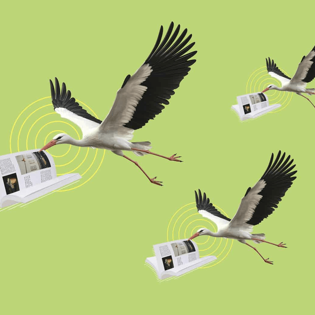 Cigüeñas volando con revistas en el pico sobre fondo verde, diseño creativo y moderno.