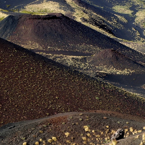 Monte Etna: Bilhetes para excursão de Catania em Nicolosi