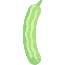 Cetriolo