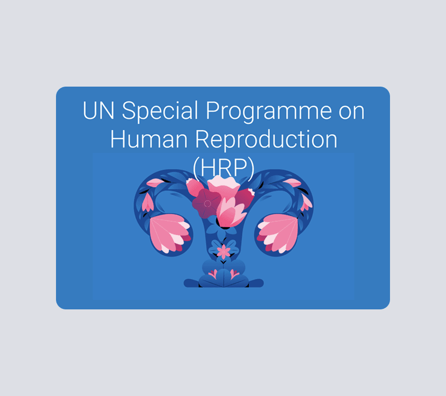 Large Project Gallery Image #1