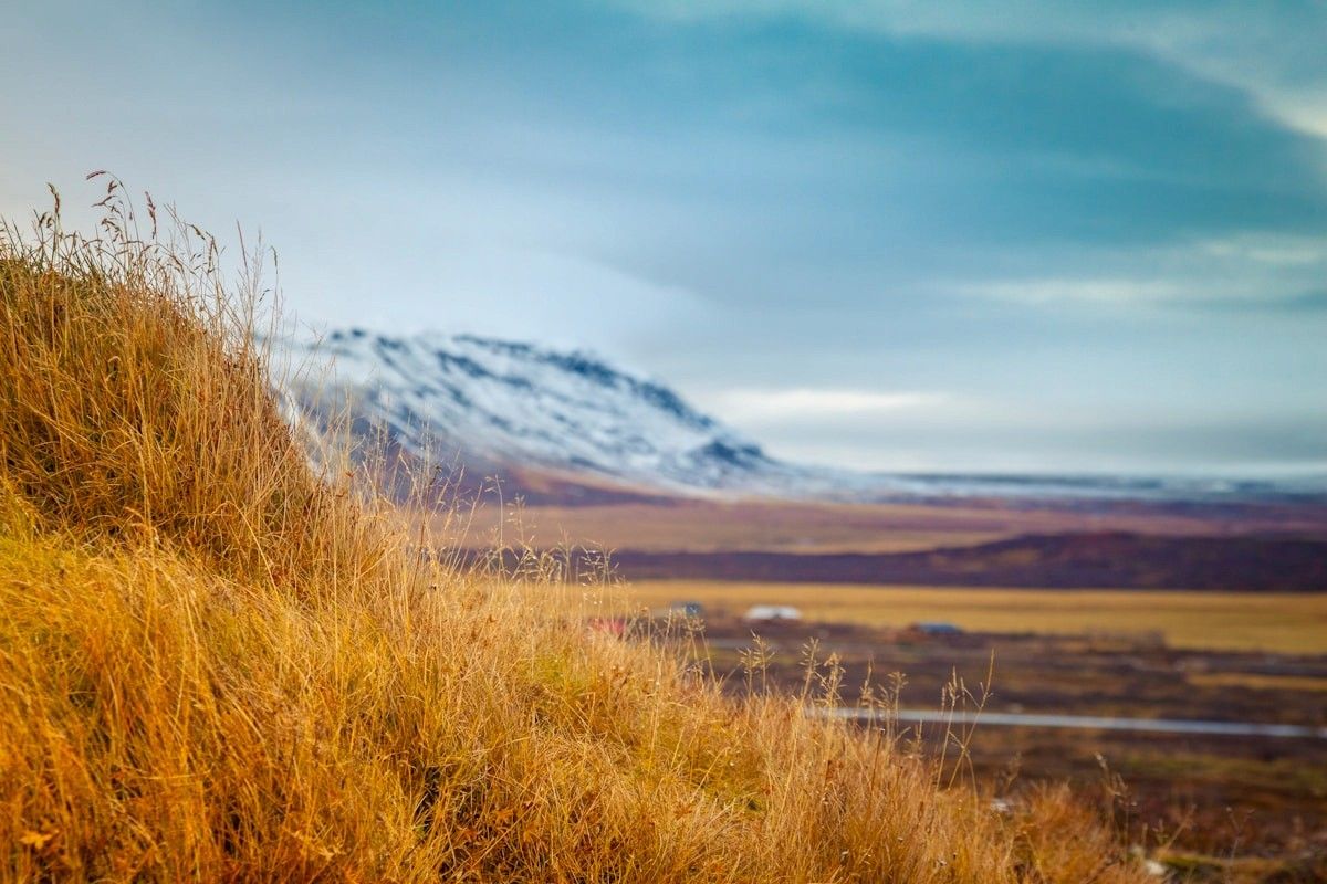 A grassy Icelandic hill beneath a distant mountain