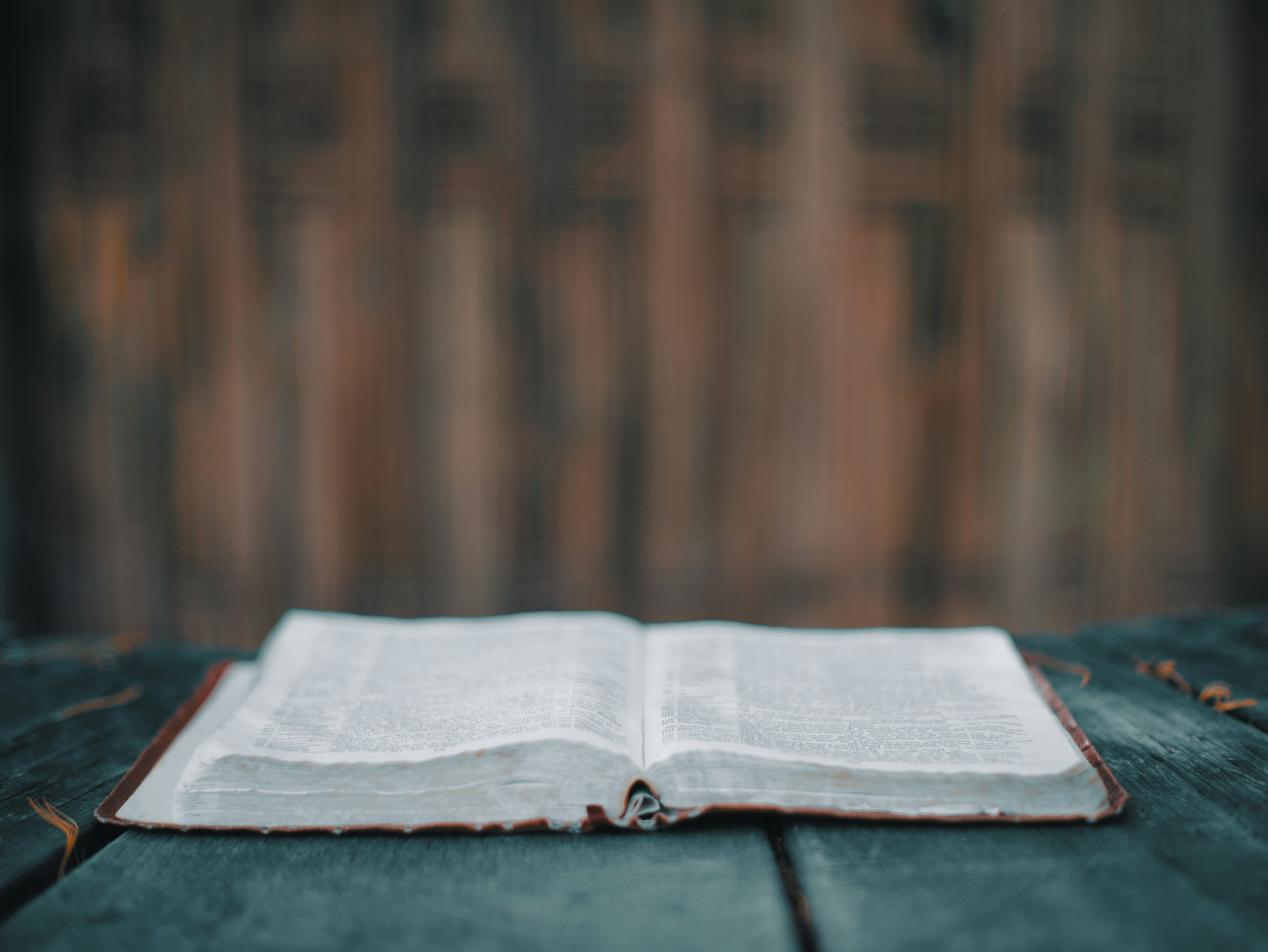 An open book rests on a wooden surface.