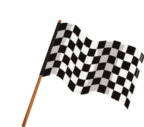 Speedfest Automovilismo: Bandera a Cuadros