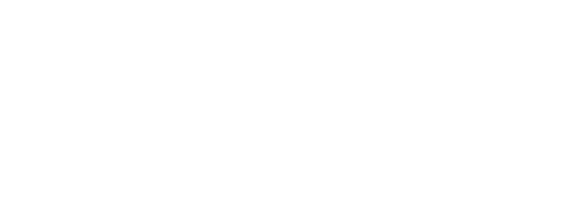 VVP Logo