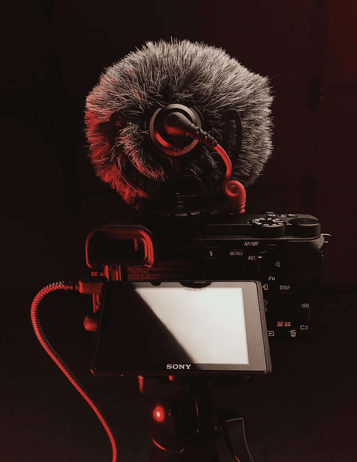 ein Bild einer Kamera mit Mikrofon