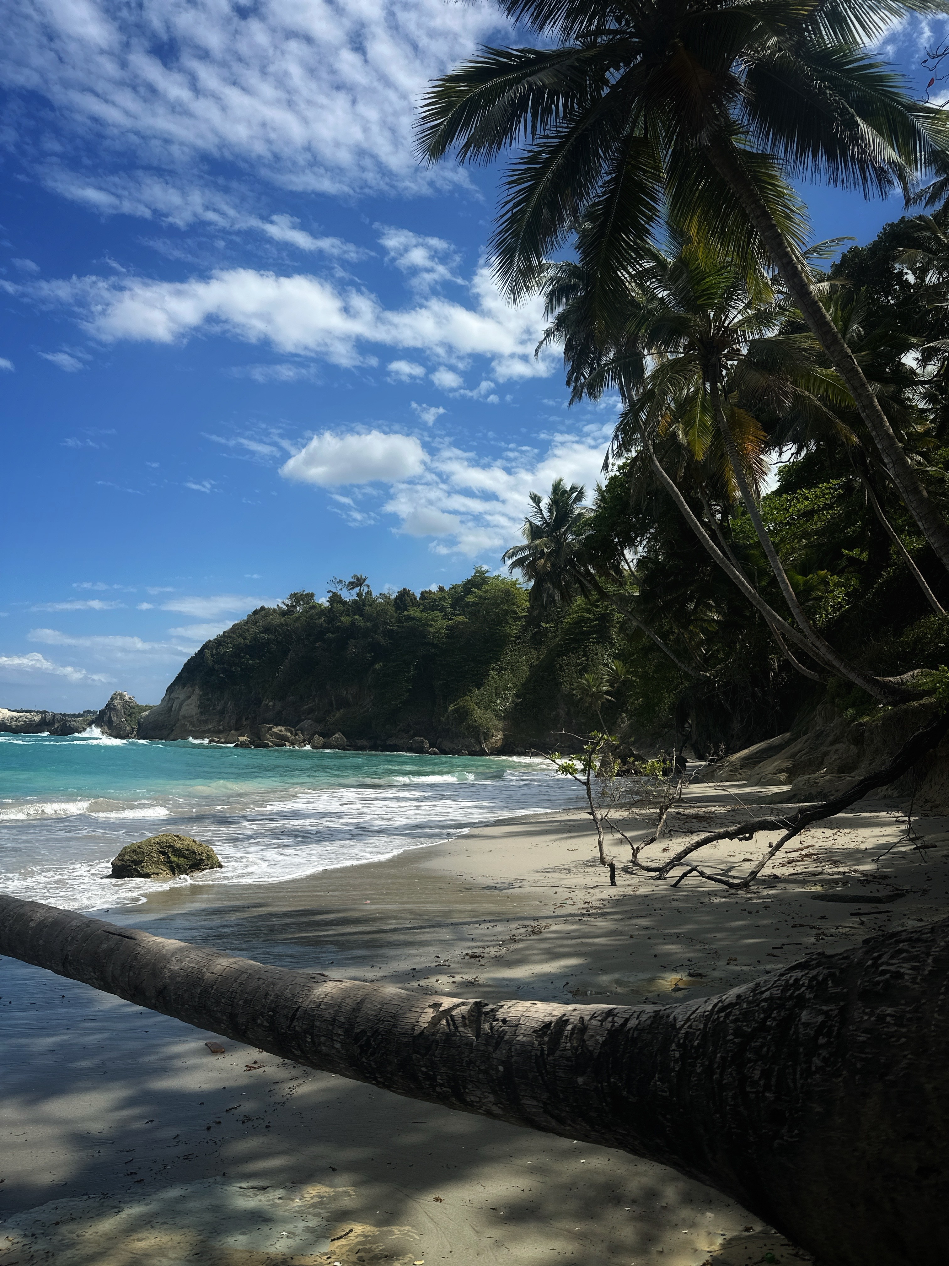 man standing near cliff looking at body of water during daytime