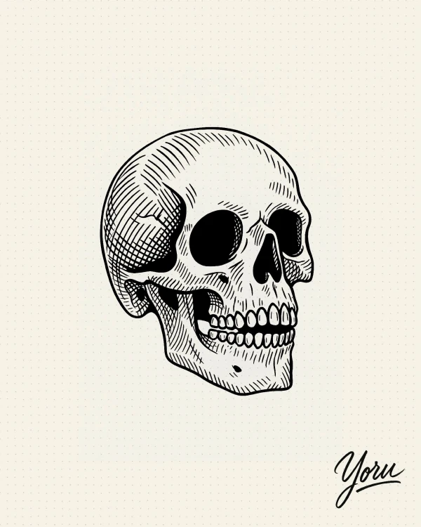 Diseño de tatuaje de una calavera humana en estilo de grabado, con sombreado hecho por finas líneas (achurado).