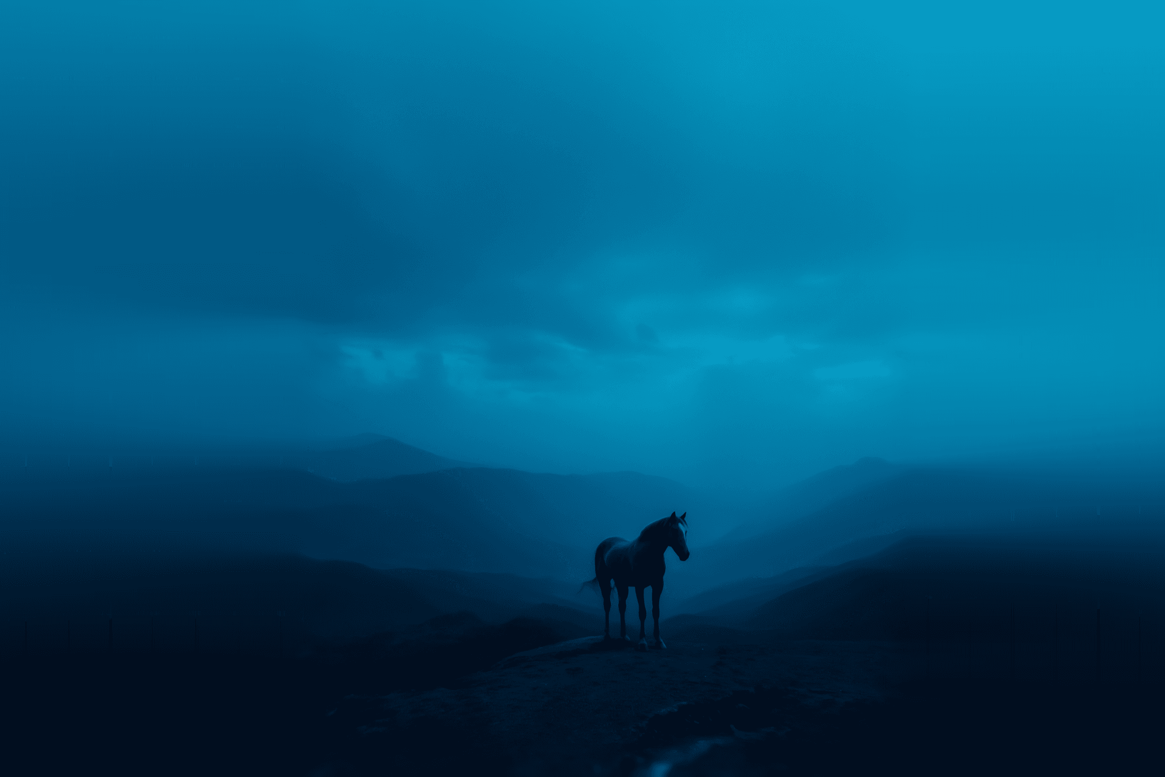 Landscape view with horse shadow