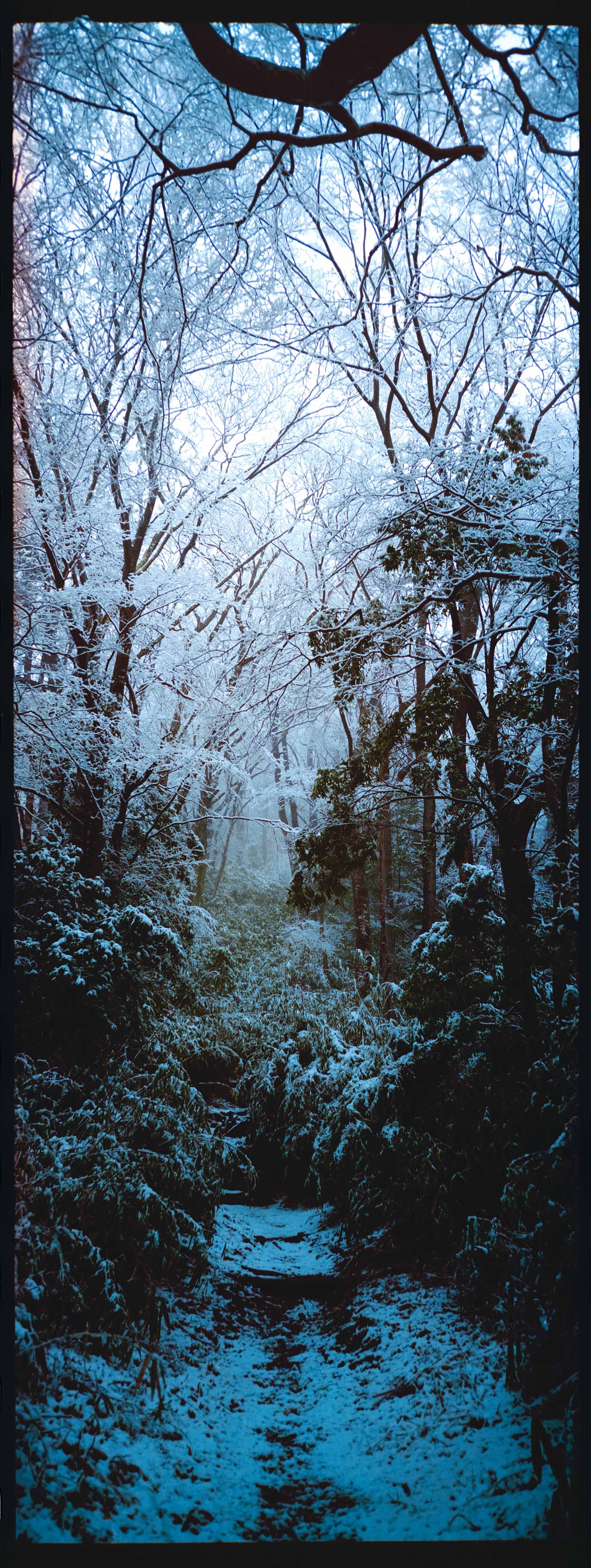 Gora mountain pass, Japan, 2021 - 2 of 3 Editions available