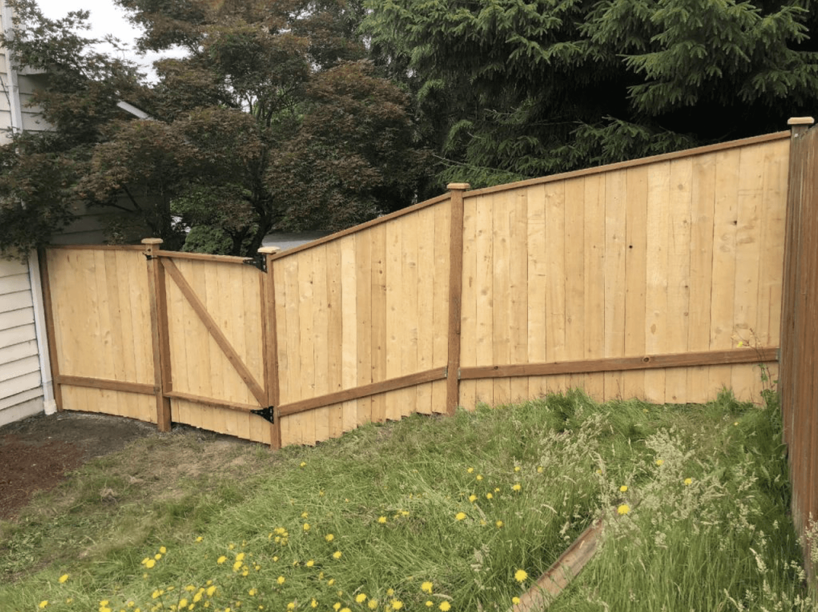 Gallery: See Our Renovation Projects in Action