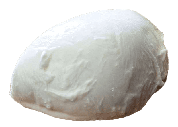 Mozzarella