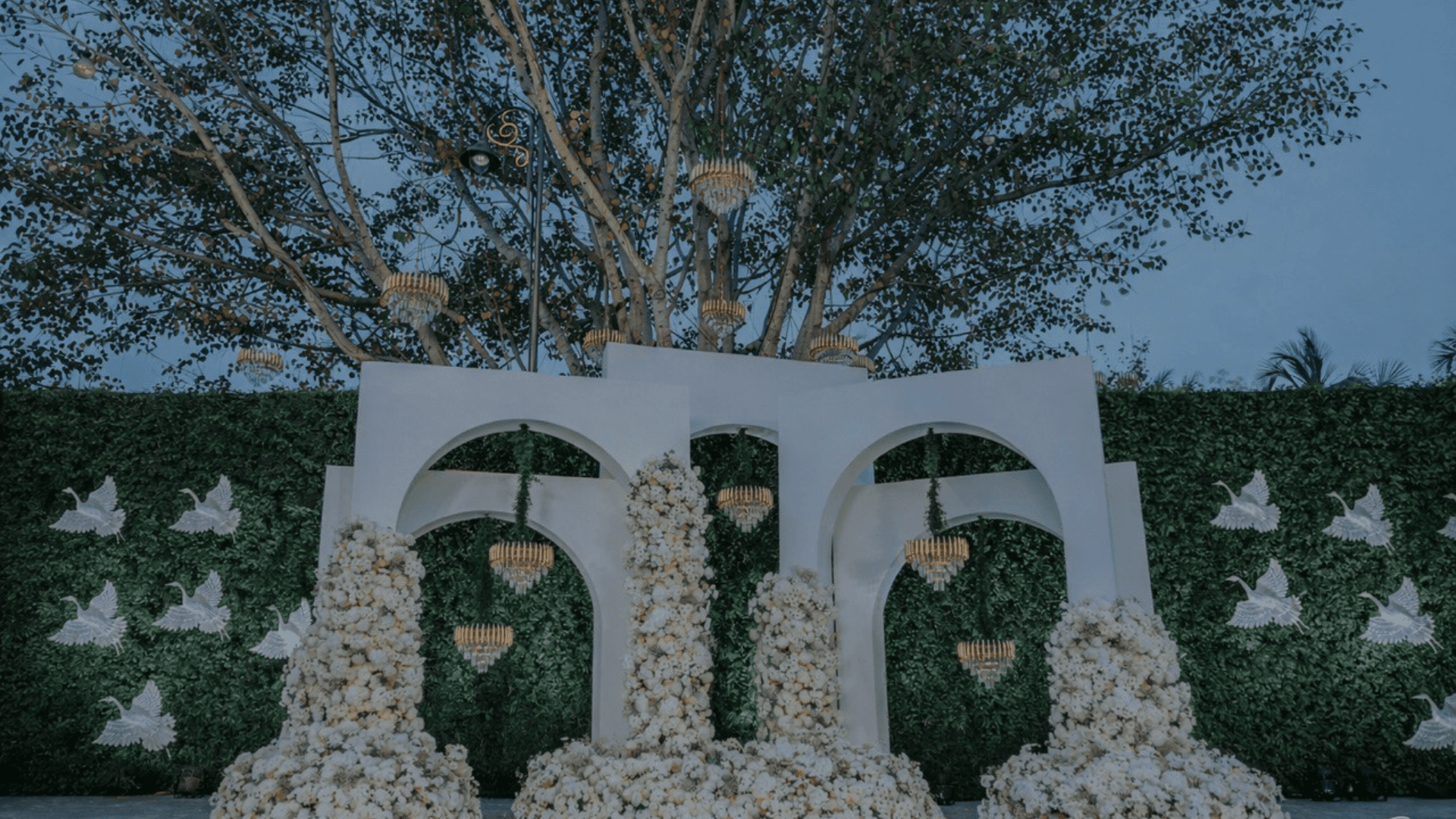 celebrations hero image