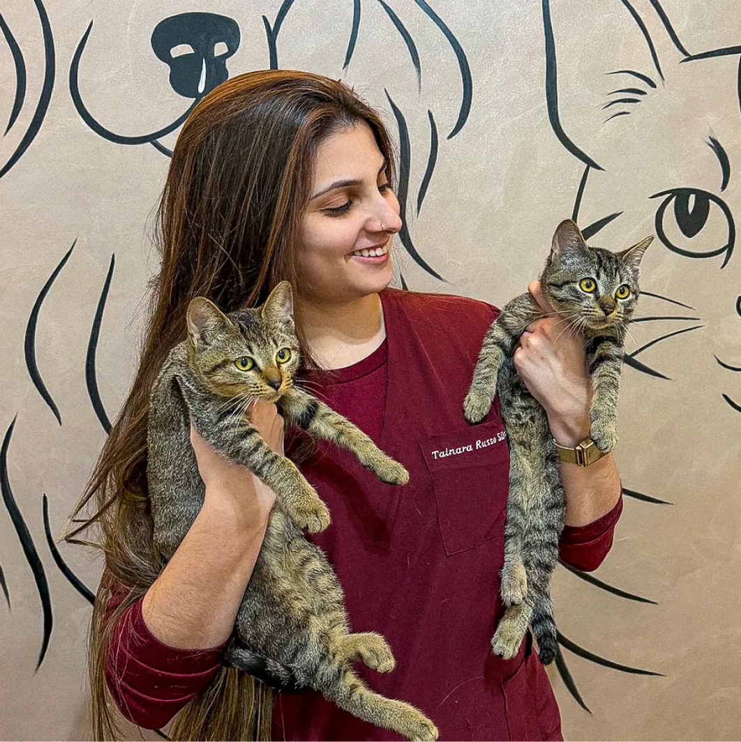 Imagem do serviço de Veterinário para gato na Mooca com a estrutura da Way Care