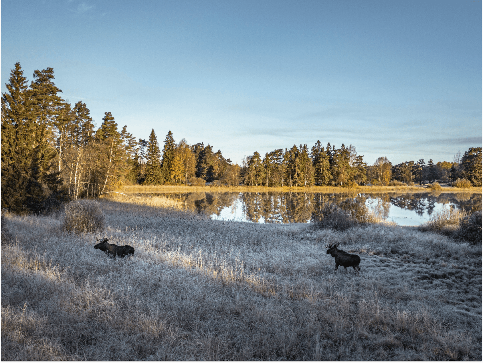 Credits: Per Pixel Petersson/imagebank.sweden.se