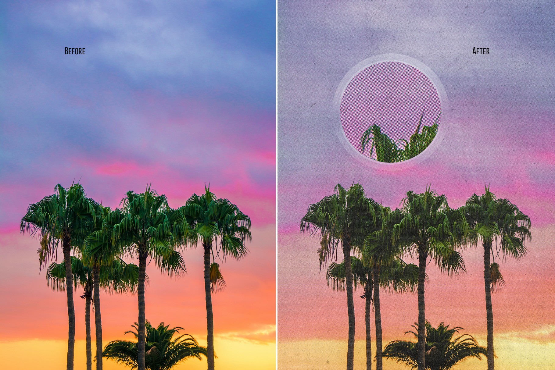 Palm tree landscape before and after the vintage offset printer action with detailed zoom view