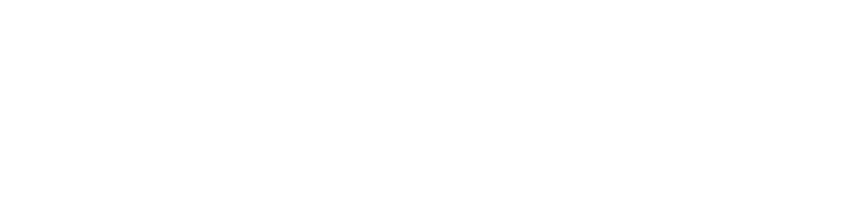 OpenWealth standard logo