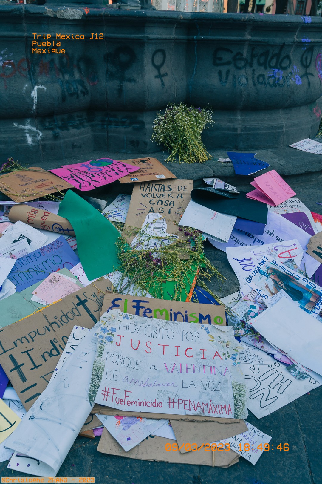 Pancartes et fleurs d’une marche féministe à Puebla, Mexique
