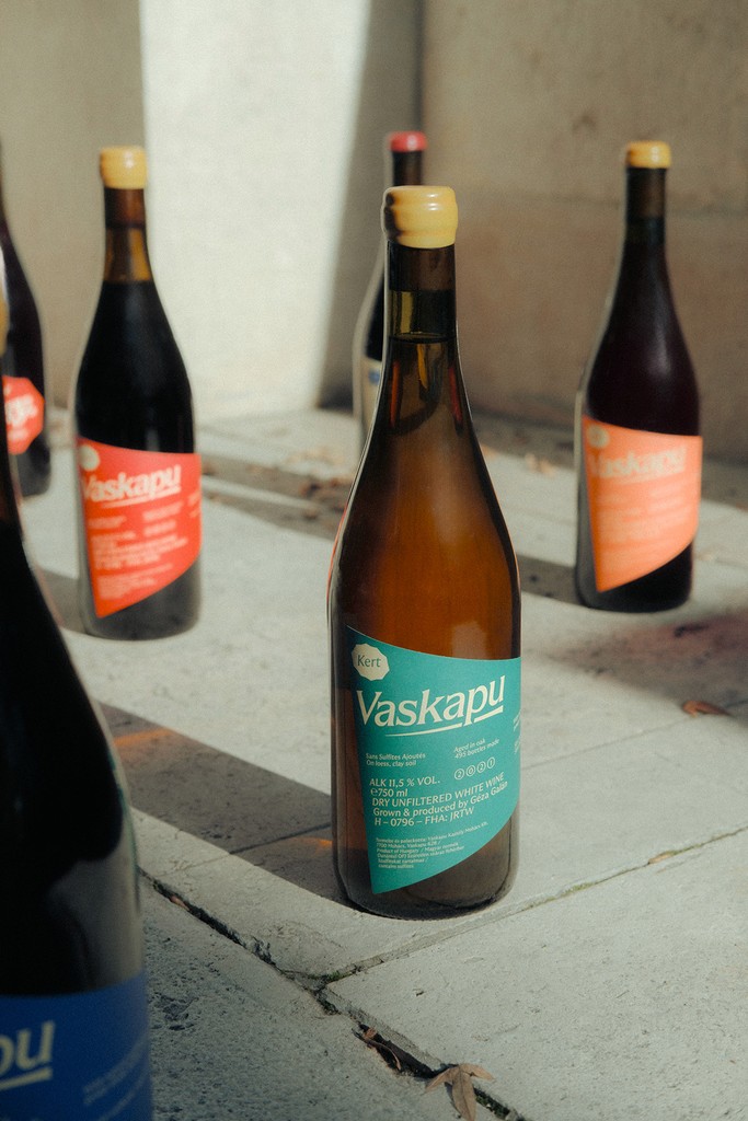 Full range of Vaskapu natural wines — red, white, rosé, and orange — with labels designed by Marcell Kazsik. The photo highlights the cohesive yet vibrant colour system that defines the brand’s visual language.