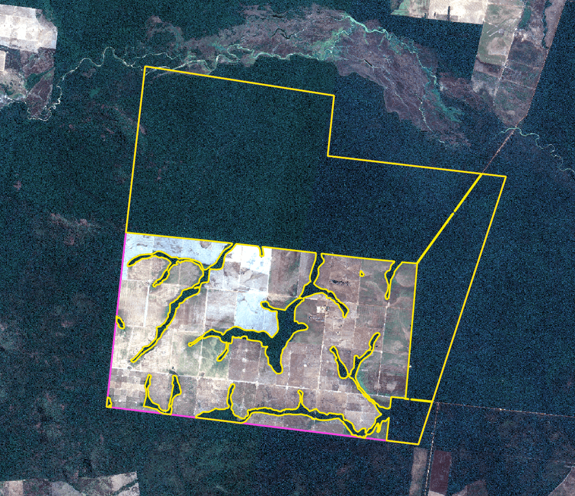 An image of Freelio's project ui