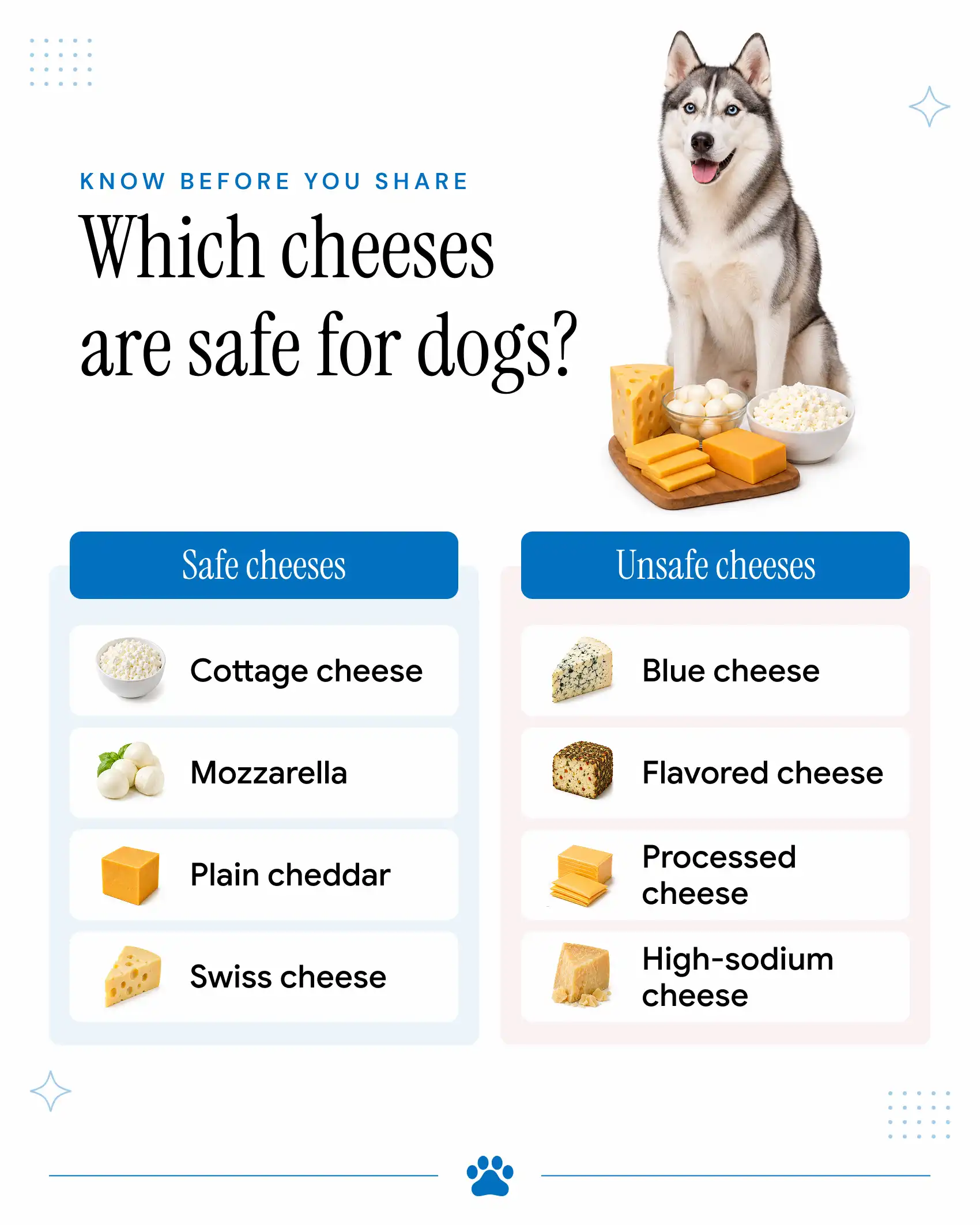 Types of Cheese: Safe vs. Unsafe