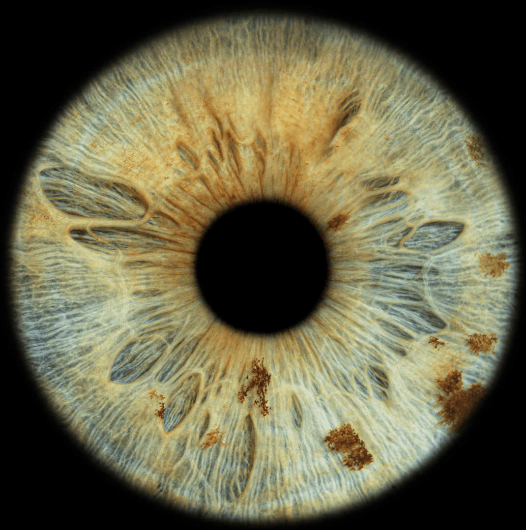 Grey metallic flower shaped object