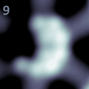 Nine Xenon atoms trapped in a quantum box.