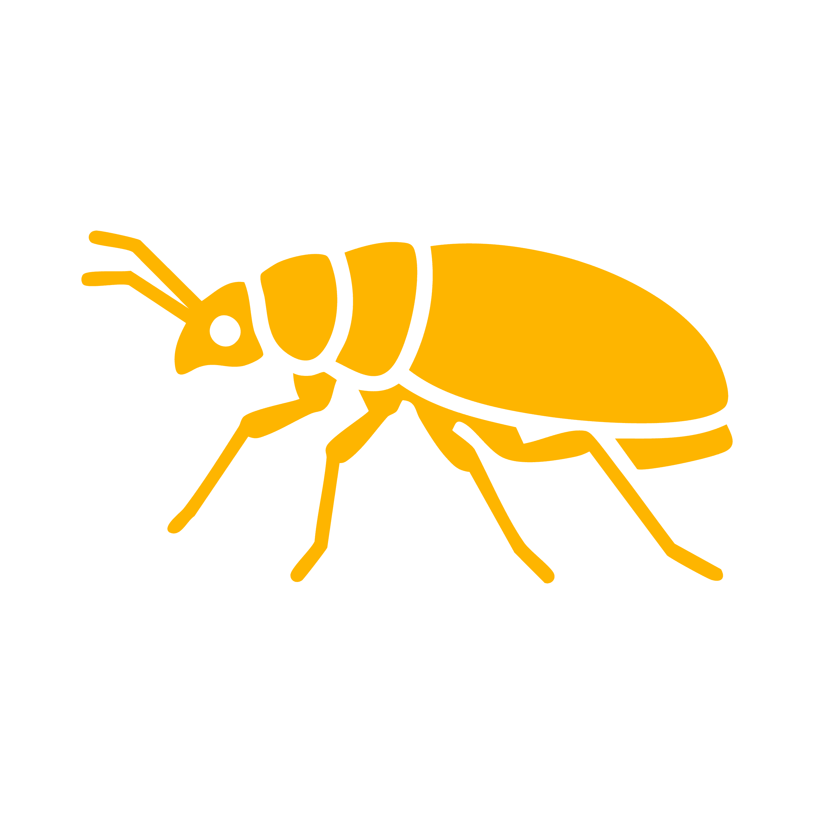 Feature Icon