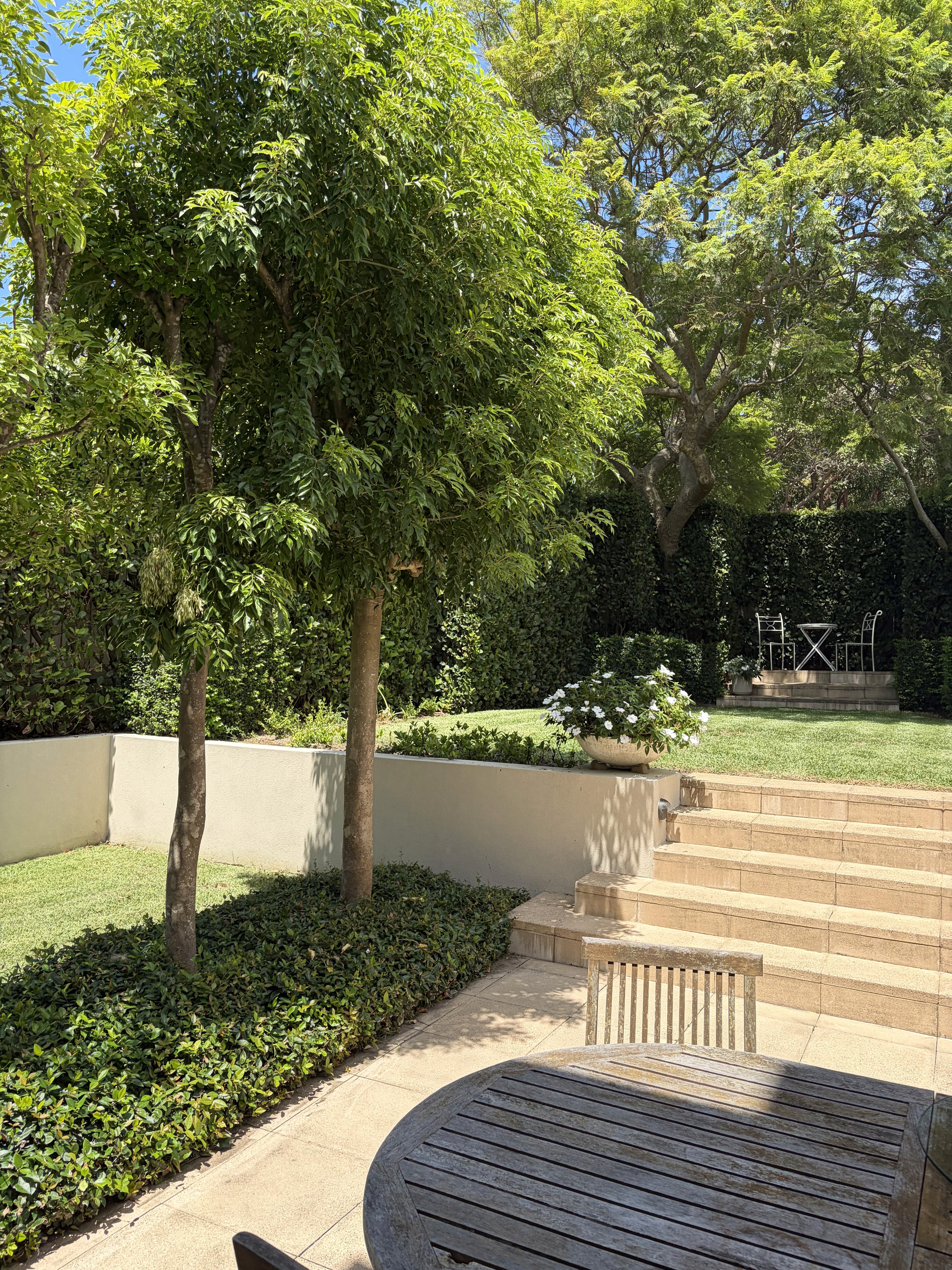 {{Service Category}} — Mr Finch Landscaping