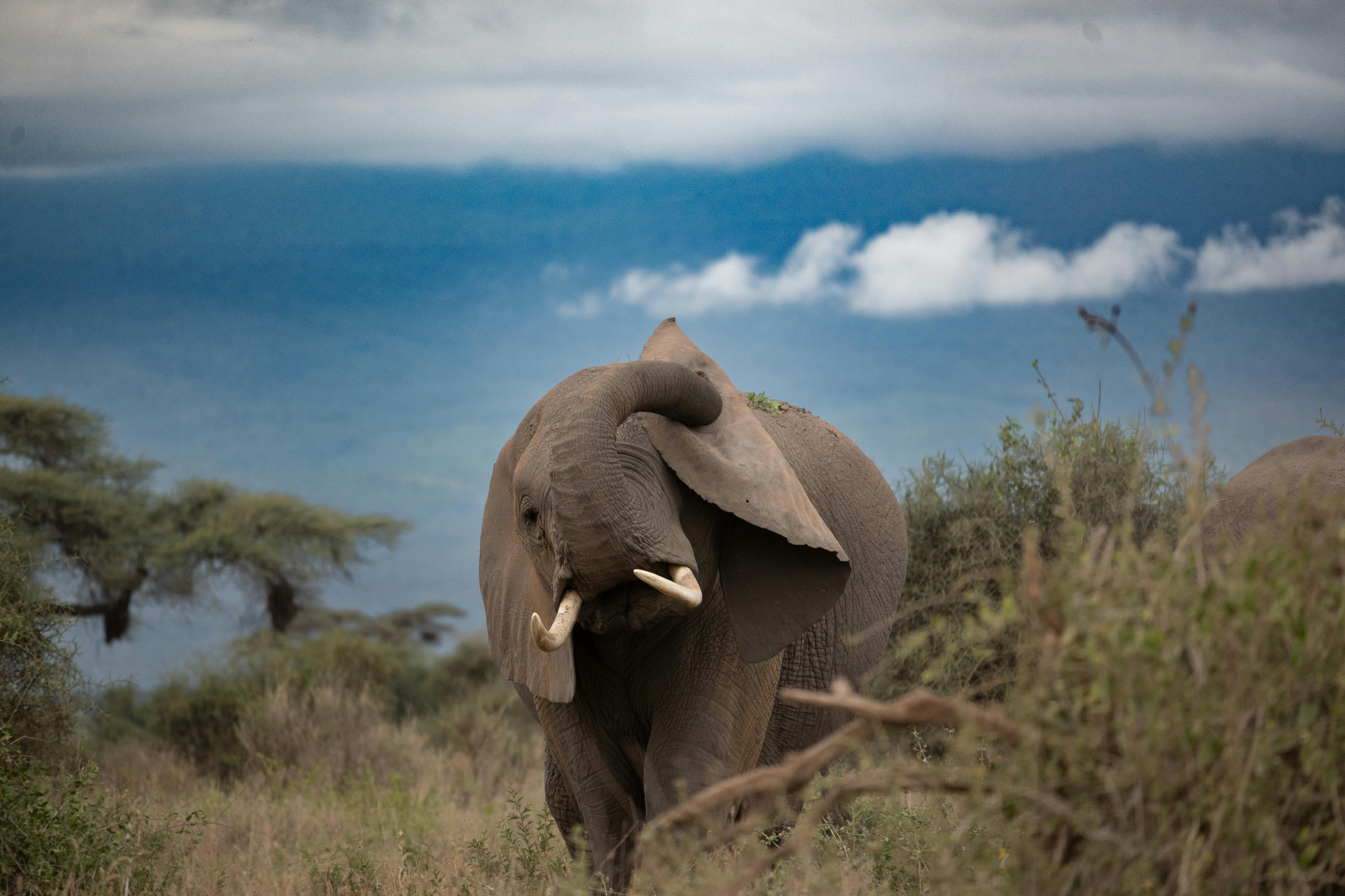 Córdoba și farmecul califatului