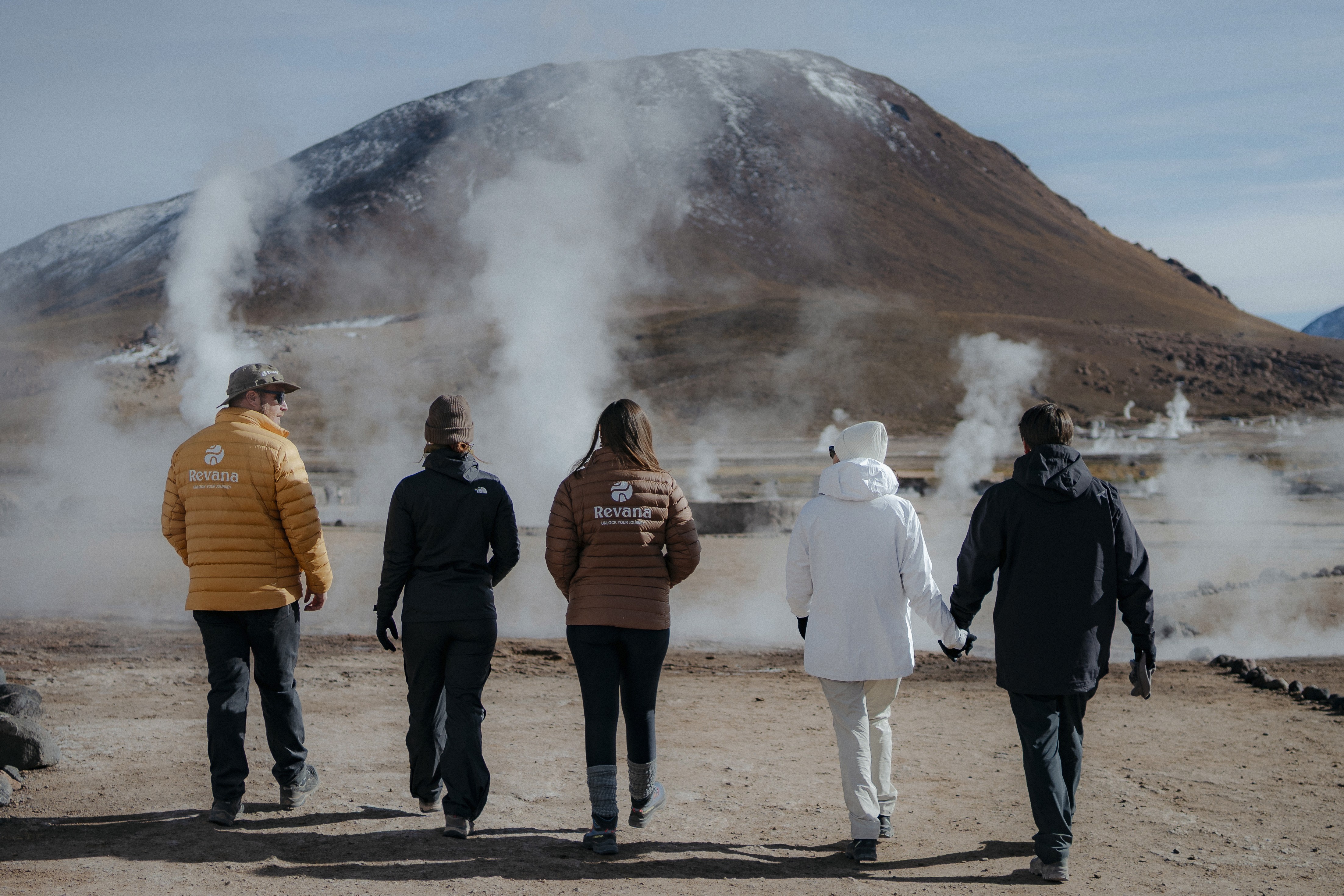 animal running on field