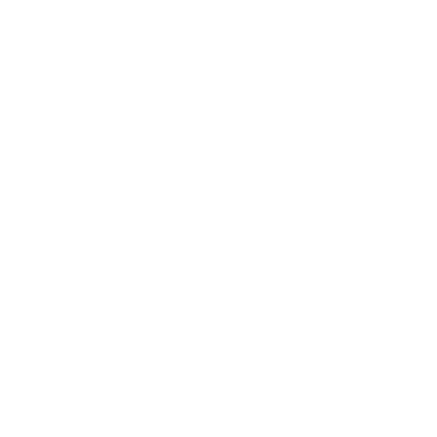 Instagram Icon